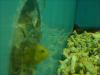 DSCN1317.JPG